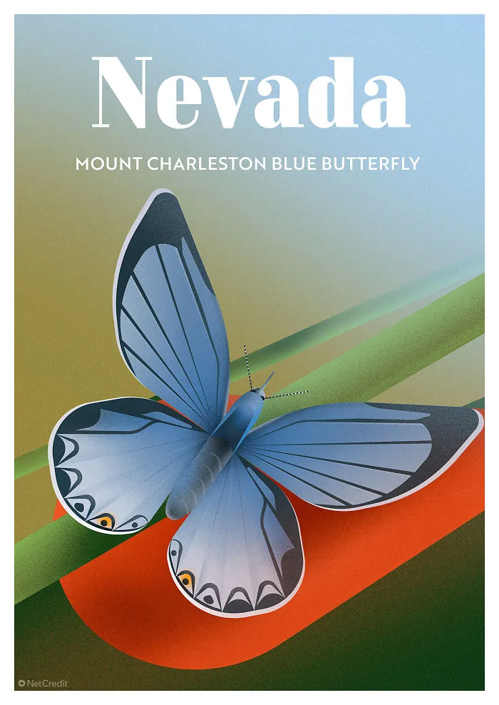 Mount Charleston Blue Butterfly