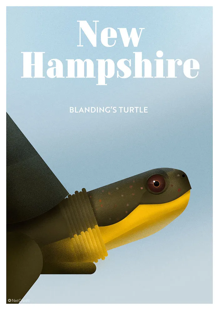 Blanding’s Turtle