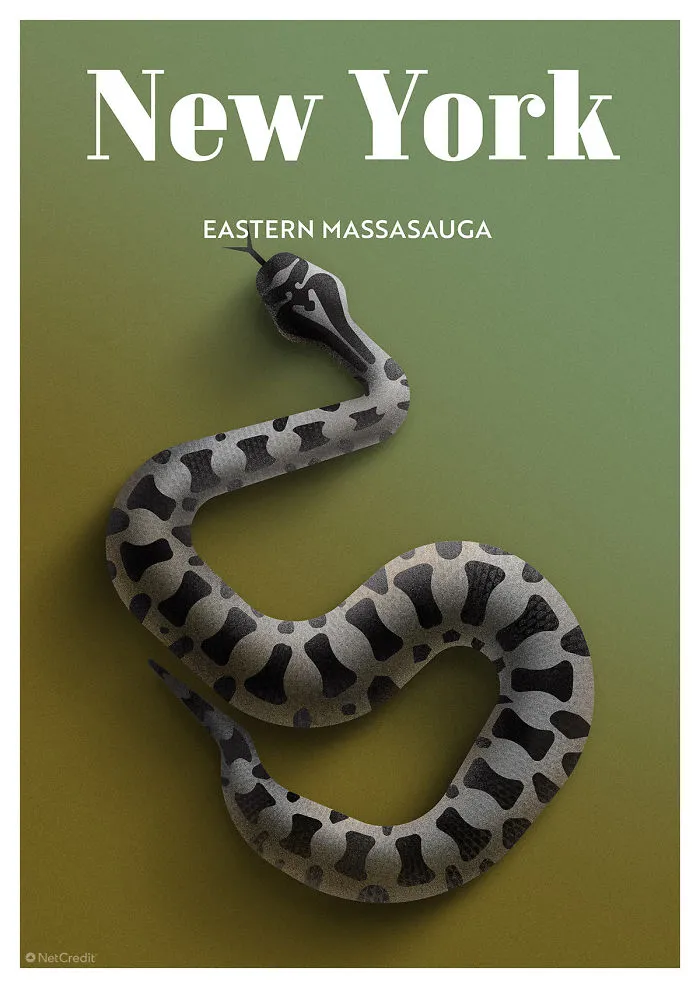 Eastern Massasauga