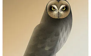 These Nature Posters Show The Most Endangered Species In Each US State