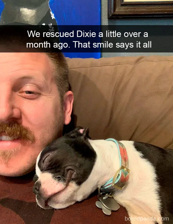 30 Funny And Cute Dog Snapchats That Will Hopefully Make Your Day