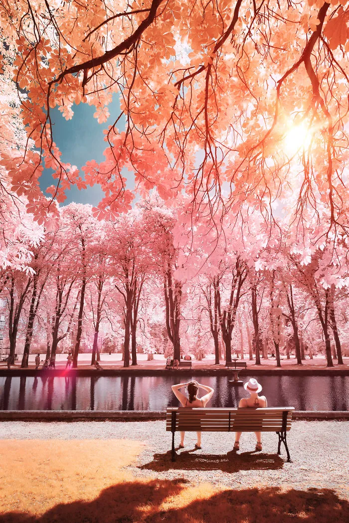 I Made A Lens Filter To Recreate Infrared Photography With My Modified Digital Camera