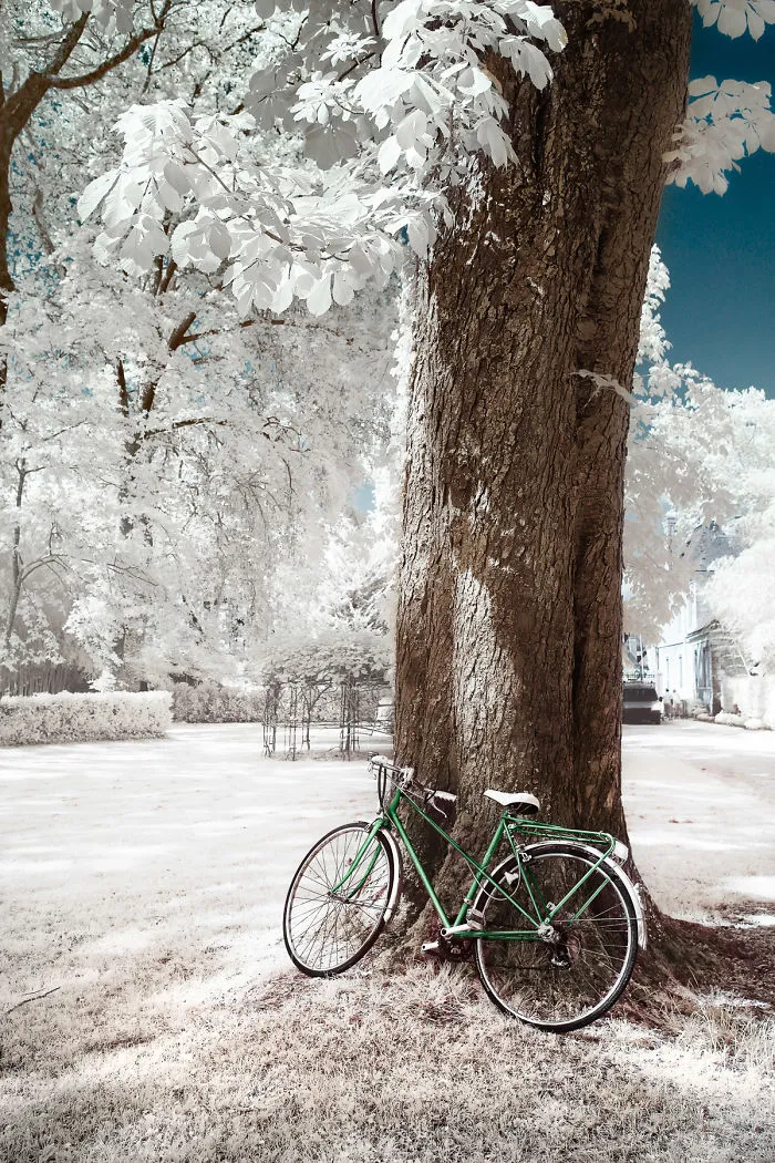 I Made A Lens Filter To Recreate Infrared Photography With My Modified Digital Camera
