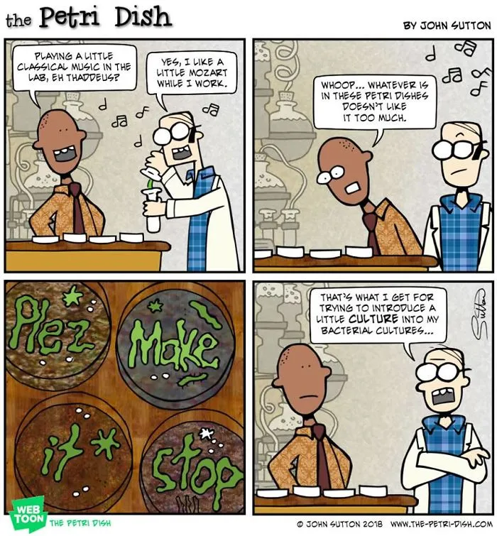 Actually, Bacterial Cultures Prefer Hip Hop