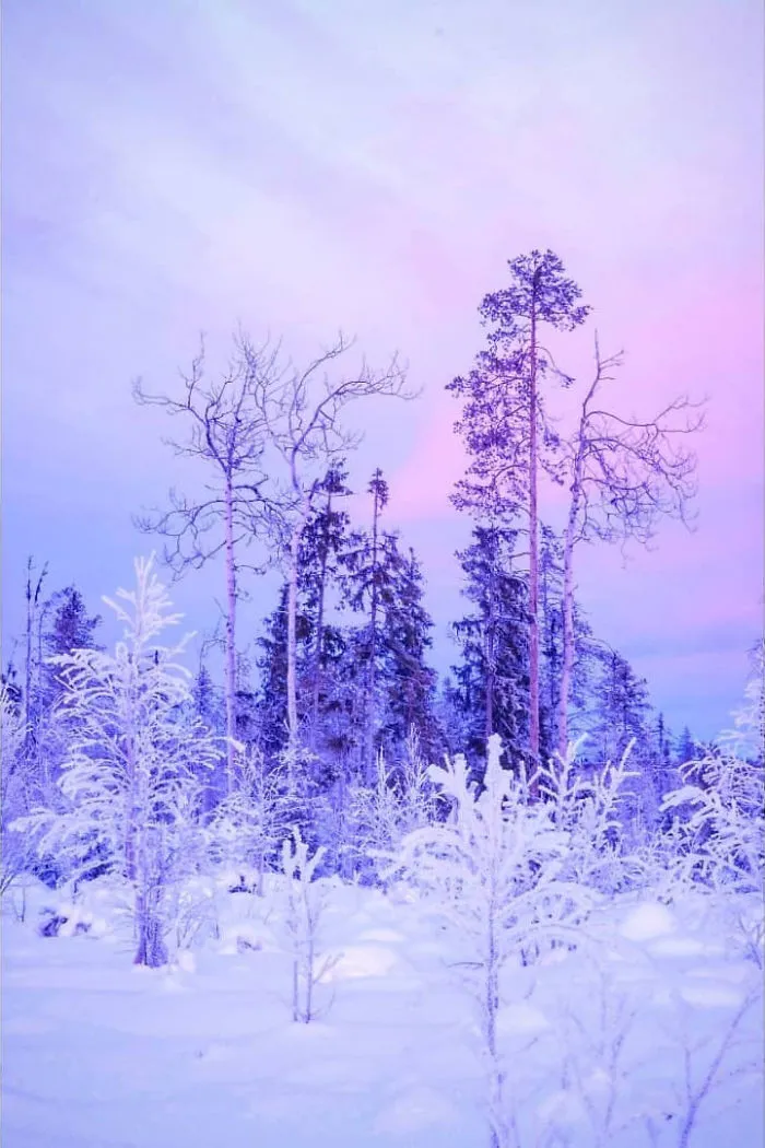I Captured The Beautiful Winter In The Northern Part Of Sweden