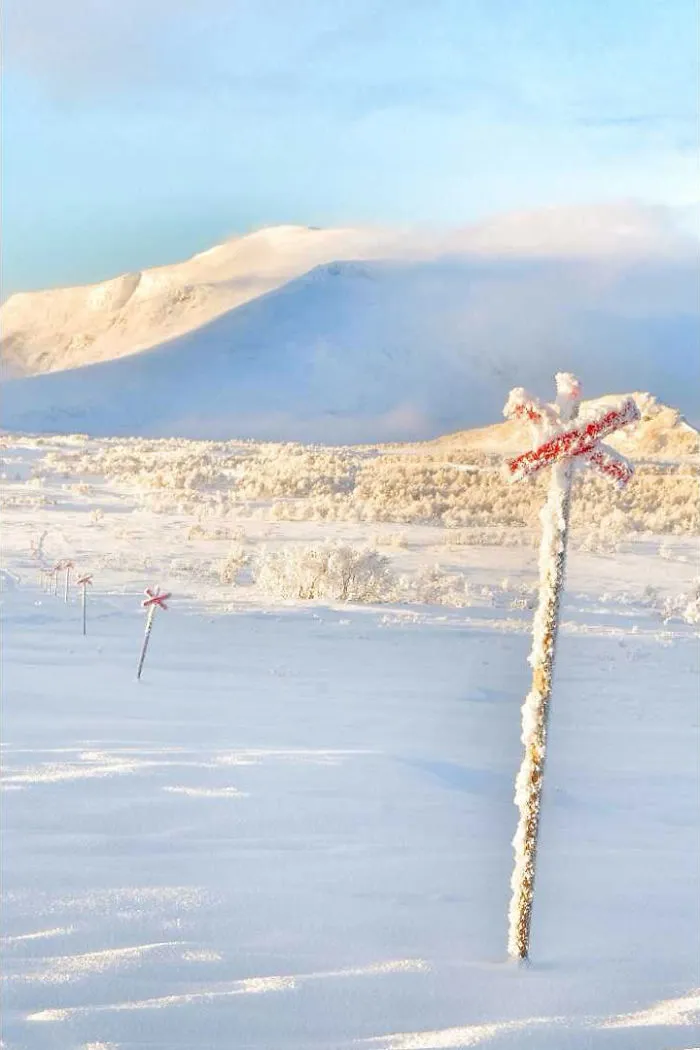 I Captured The Beautiful Winter In The Northern Part Of Sweden