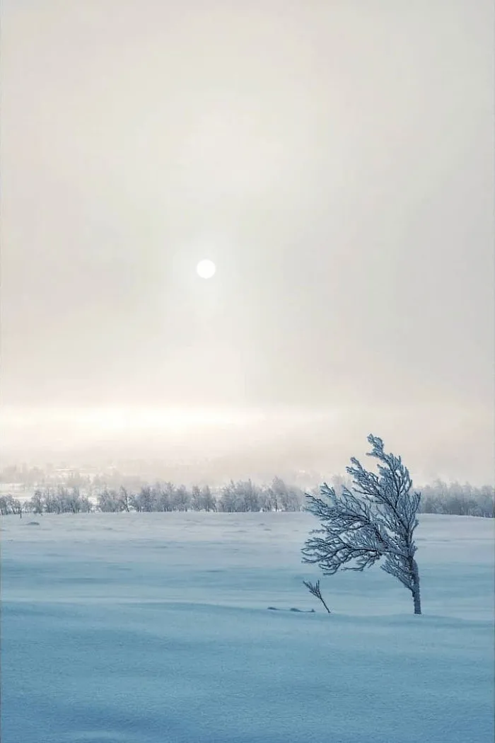 I Captured The Beautiful Winter In The Northern Part Of Sweden