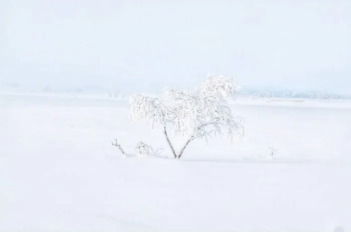 I Captured The Beautiful Winter In The Northern Part Of Sweden