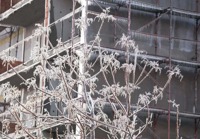 I Photographed Freezing Rain, Alternately Beautiful And Scary