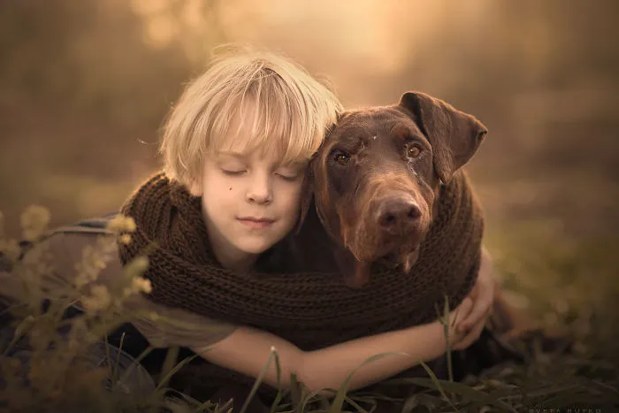 Dan With Adhd And Efi - Abused And Neglected Doberman
