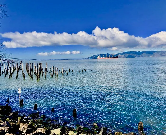 Ended Up In Astoria, Or