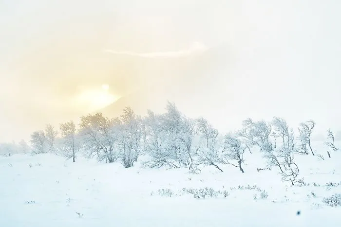 I Captured The Beautiful Winter In The Northern Part Of Sweden