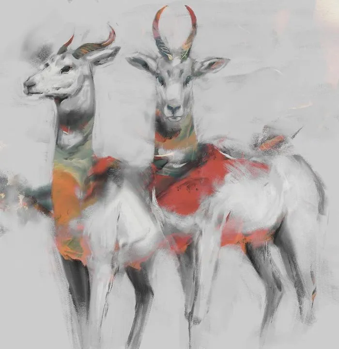 Dama Gazelle