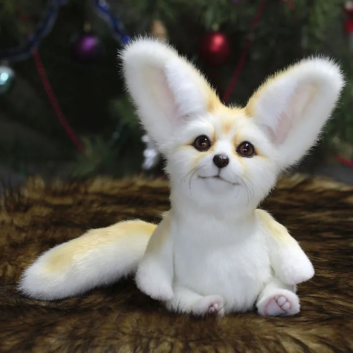 Meet The Puppy Fennec Fox Named Snowy .
one Of A Kind.
