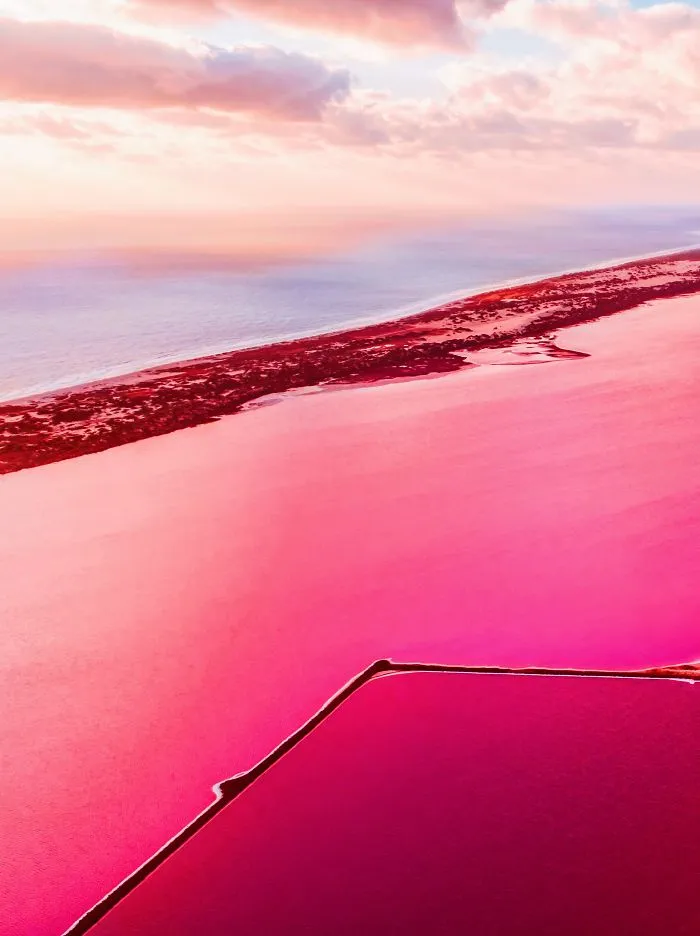 I Captured The Magic Of Pink Lagoon In Western Australia (20 Pics)