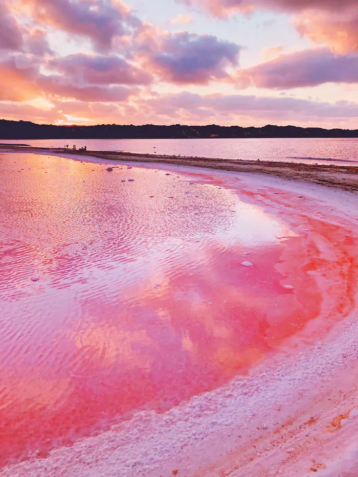 I Captured The Magic Of Pink Lagoon In Western Australia (20 Pics)