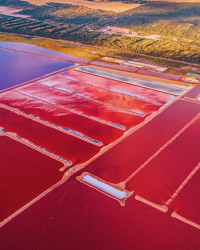 I Captured The Magic Of Pink Lagoon In Western Australia (20 Pics)