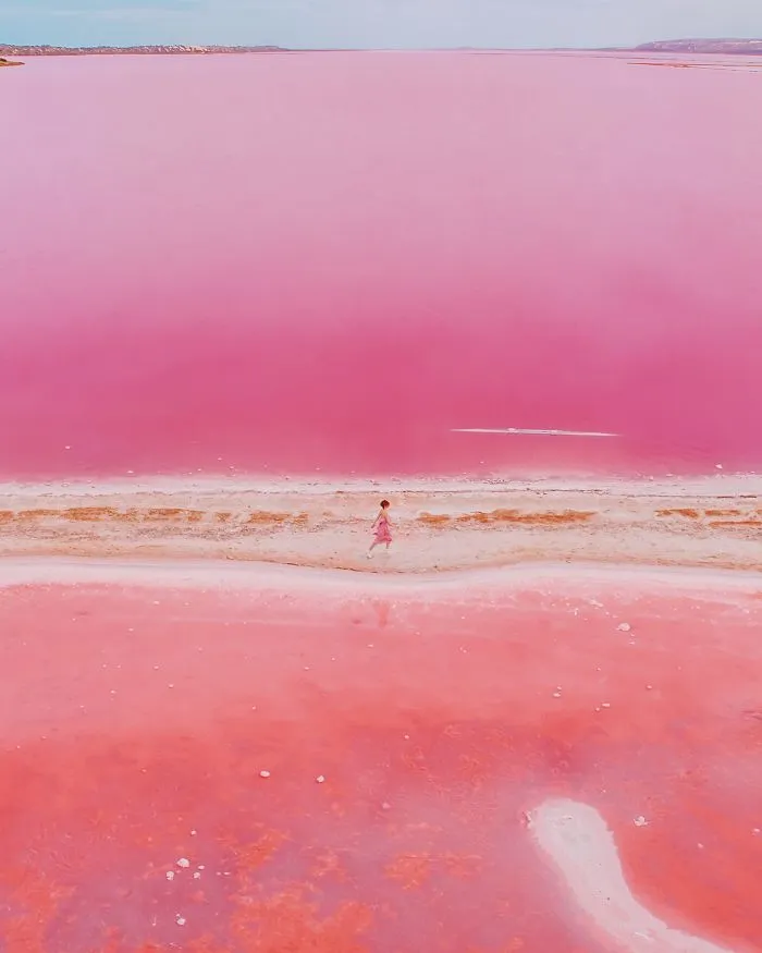 I Captured The Magic Of Pink Lagoon In Western Australia (20 Pics)