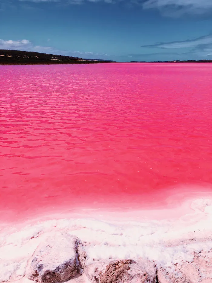 I Captured The Magic Of Pink Lagoon In Western Australia (20 Pics)