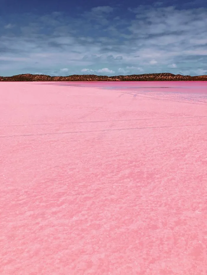 I Captured The Magic Of Pink Lagoon In Western Australia (20 Pics)