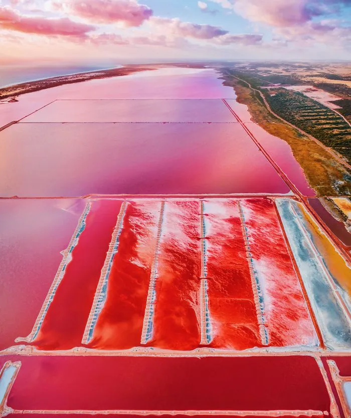 I Captured The Magic Of Pink Lagoon In Western Australia (20 Pics)