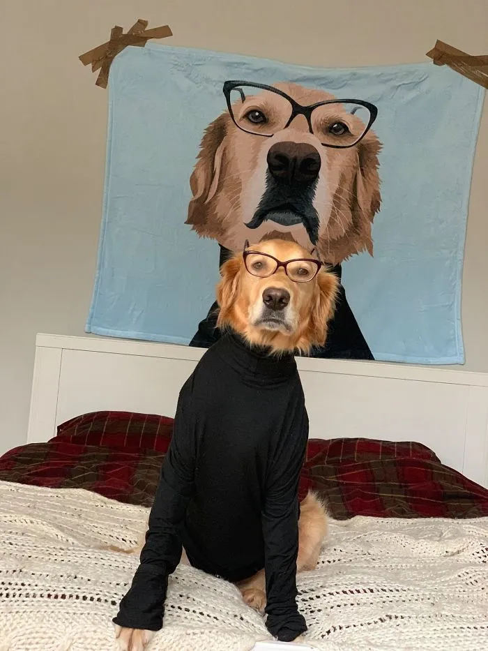 Estoy un poco obsesionada con mi perro, pero no me arrepiento en ningún momento (22 fotos)