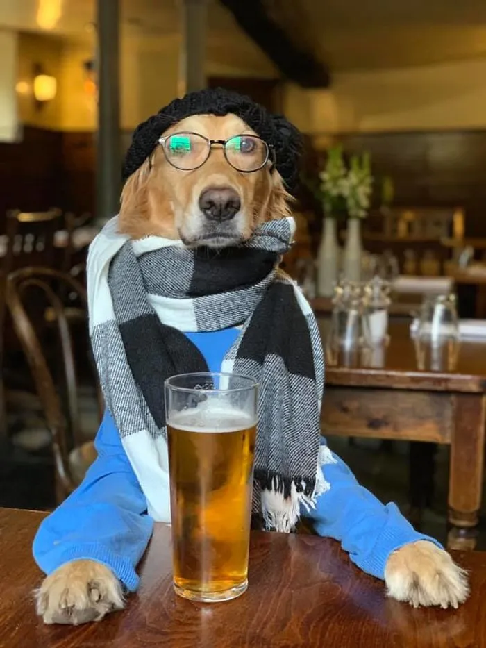 Estoy un poco obsesionada con mi perro, pero no me arrepiento en ningún momento (22 fotos)