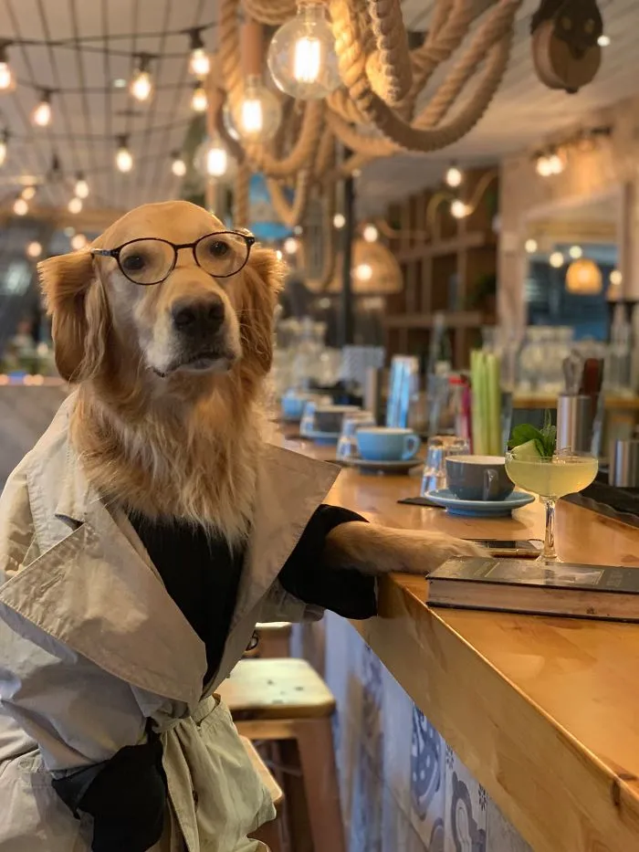 Estoy un poco obsesionada con mi perro, pero no me arrepiento en ningún momento (22 fotos)