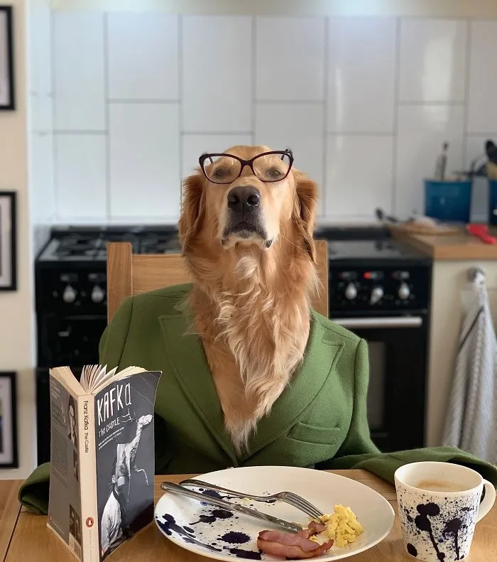Estoy un poco obsesionada con mi perro, pero no me arrepiento en ningún momento (22 fotos)