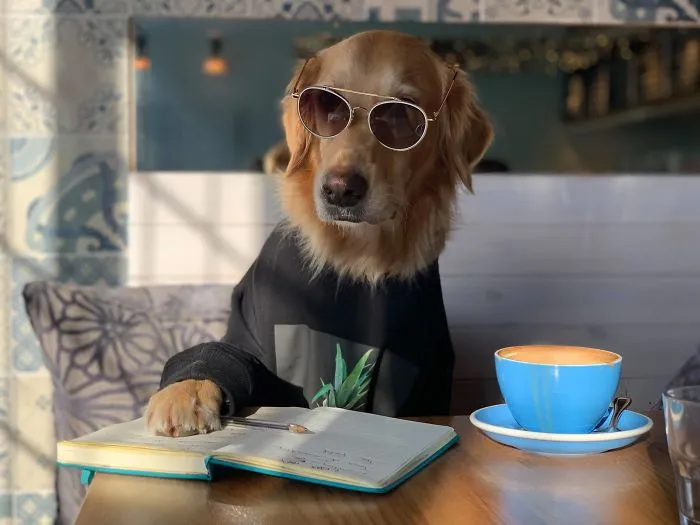 Estoy un poco obsesionada con mi perro, pero no me arrepiento en ningún momento (22 fotos)