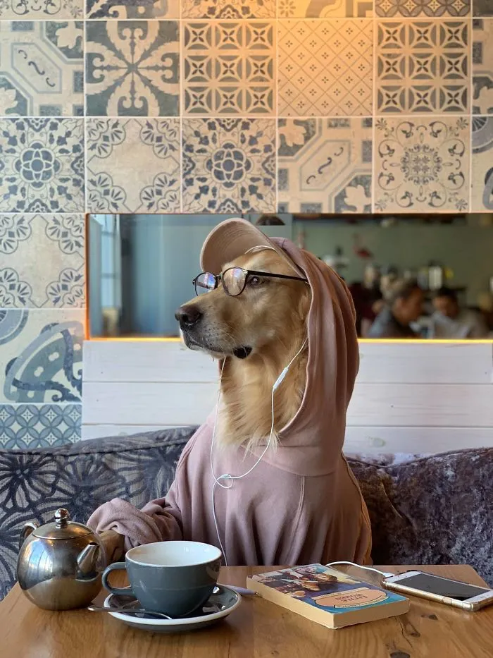 Estoy un poco obsesionada con mi perro, pero no me arrepiento en ningún momento (22 fotos)