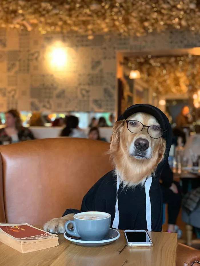 Estoy un poco obsesionada con mi perro, pero no me arrepiento en ningún momento (22 fotos)