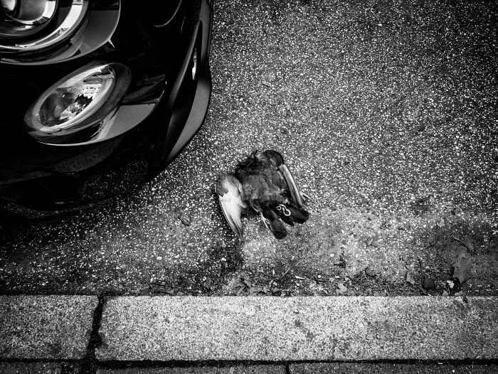 Let's Fly: Interesting Spots In Altona, Hamburg