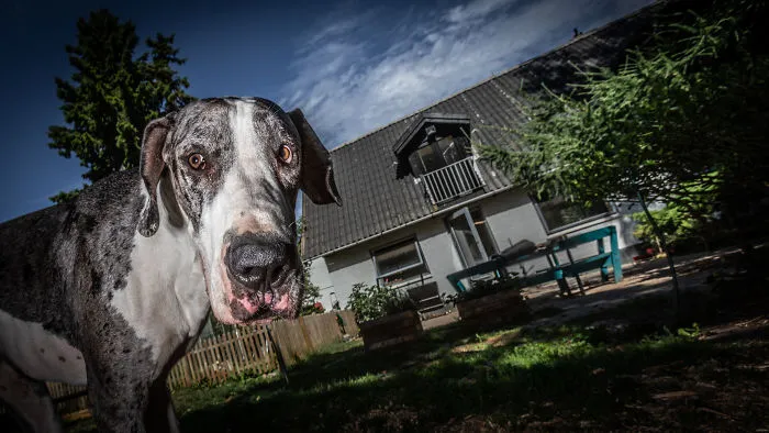 Zeus Aka Sussi