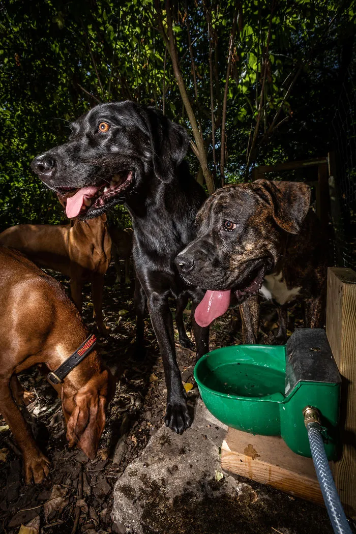 Water Station