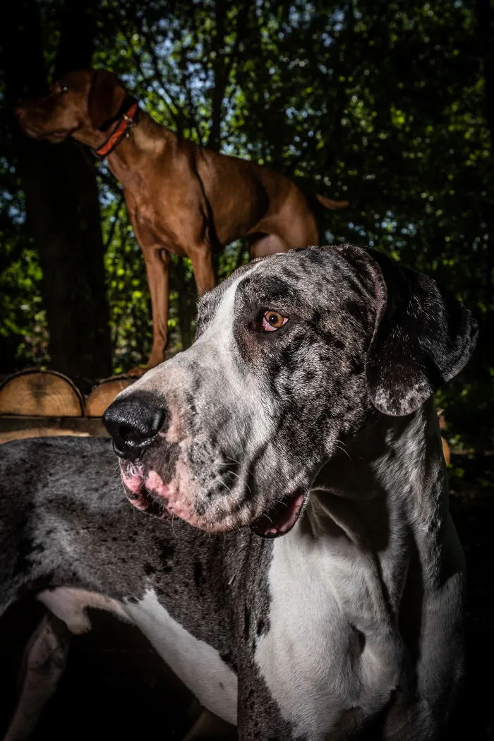Zeus