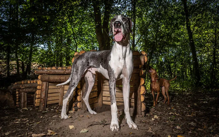 ...more Zeus