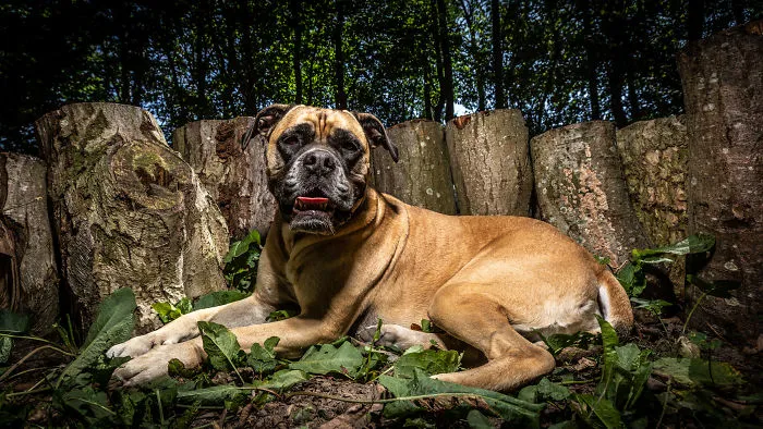Berta