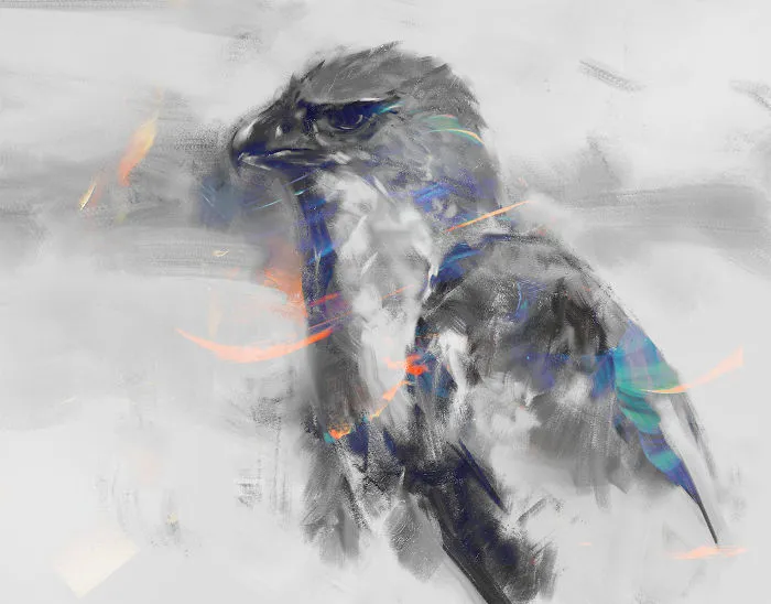 New Guinea Harpy Eagle