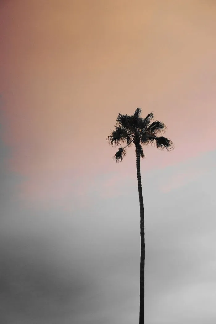 The Scenery You Can Capture From Dslr's