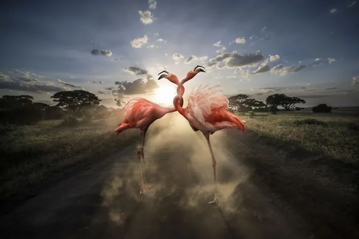 Artist Uses Digital Manipulation To Show How Animals Act When People Are Not Watching (30 Pics)