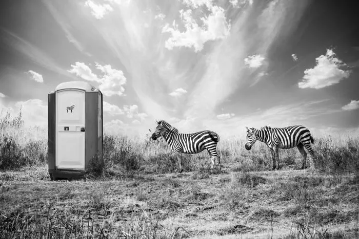 Artist Uses Digital Manipulation To Show How Animals Act When People Are Not Watching (30 Pics)