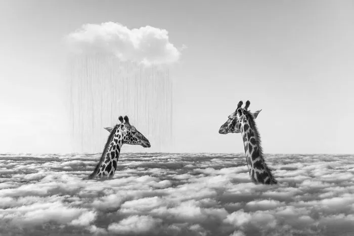 Artist Uses Digital Manipulation To Show How Animals Act When People Are Not Watching (30 Pics)