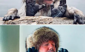 Russian Blogger Makes Parodies Out Of Celebrity Photos, And More Than 20,000 Followers On Instagram Approve