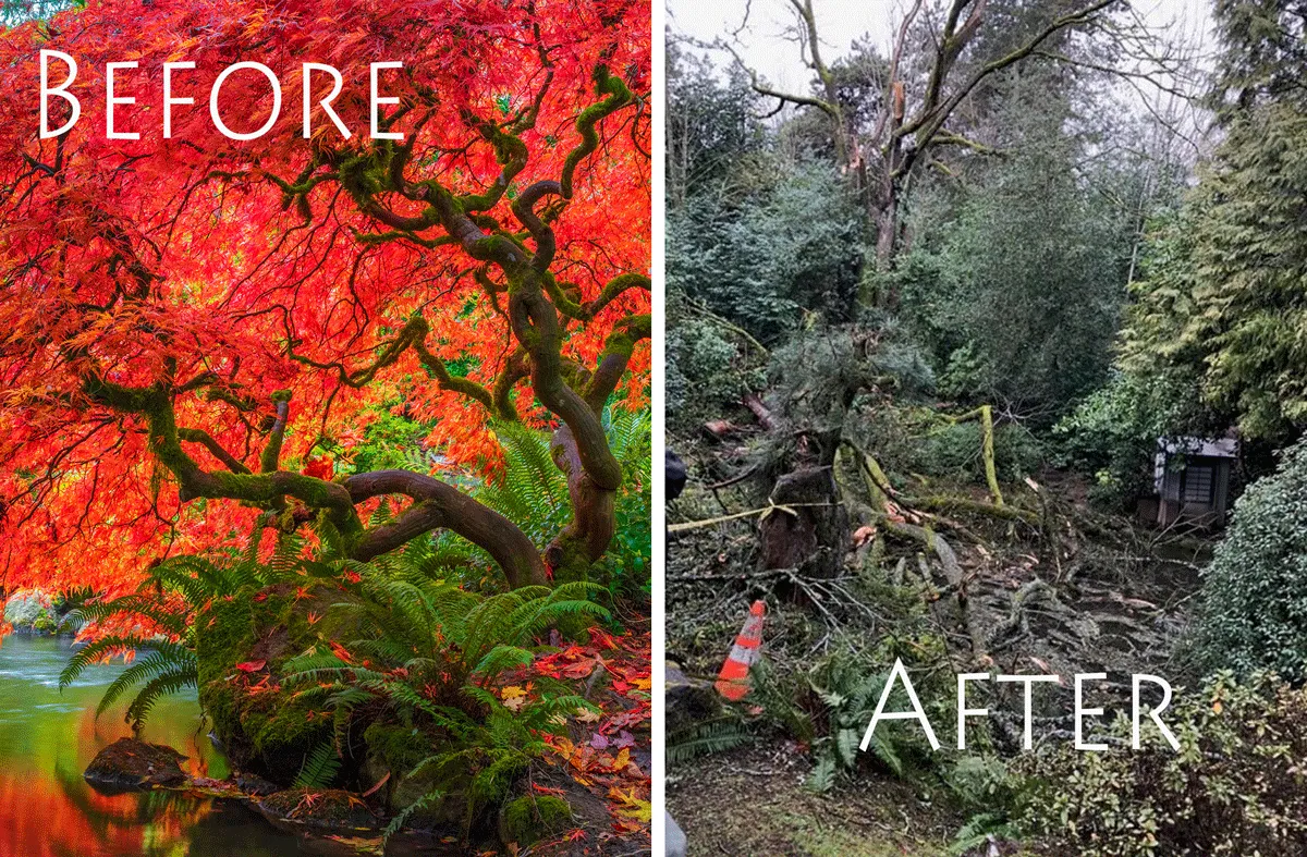 I Went Back To The Beautiful Places I Once Photographed, What I Saw Was Devastating.