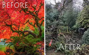 I Went Back To The Beautiful Places I Once Photographed, What I Saw Was Devastating.