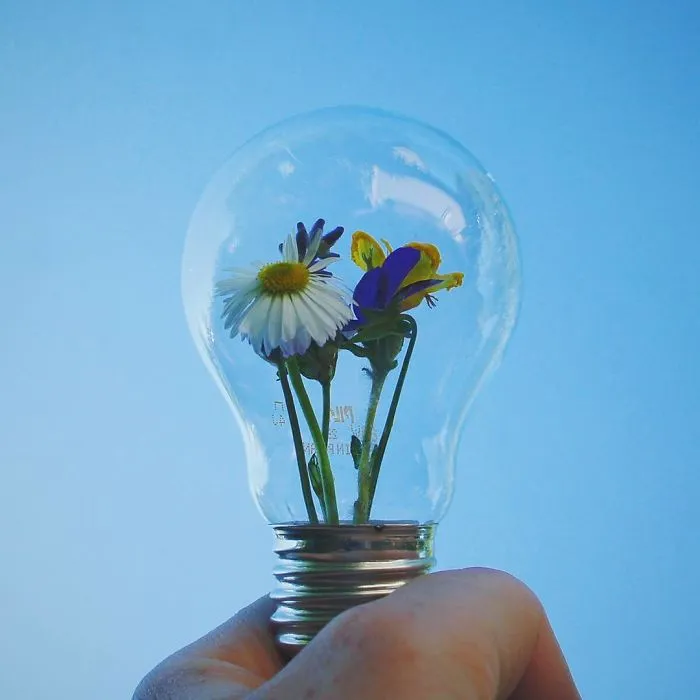 Russian Artist Transforms Everyday Objects Into "Something Else"