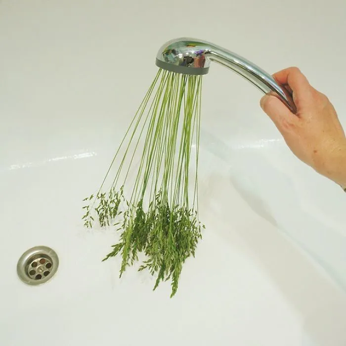 Russian Artist Transforms Everyday Objects Into "Something Else"