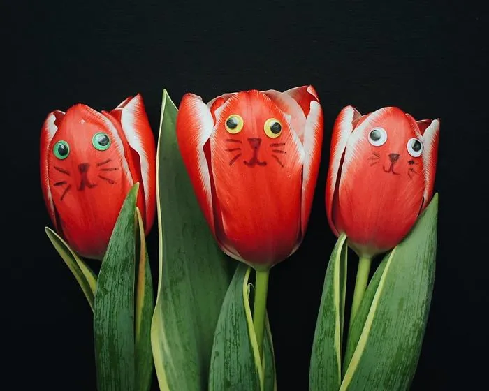 Russian Artist Transforms Everyday Objects Into "Something Else"