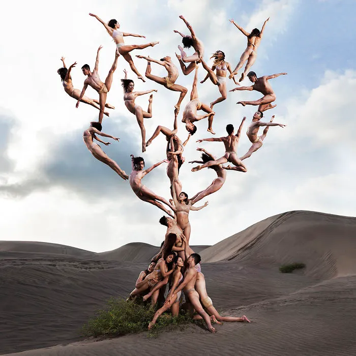 Tree Of Life